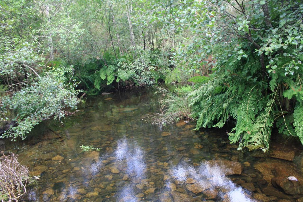 הוילה Canedo  Retiro Da Arminda מראה חיצוני תמונה