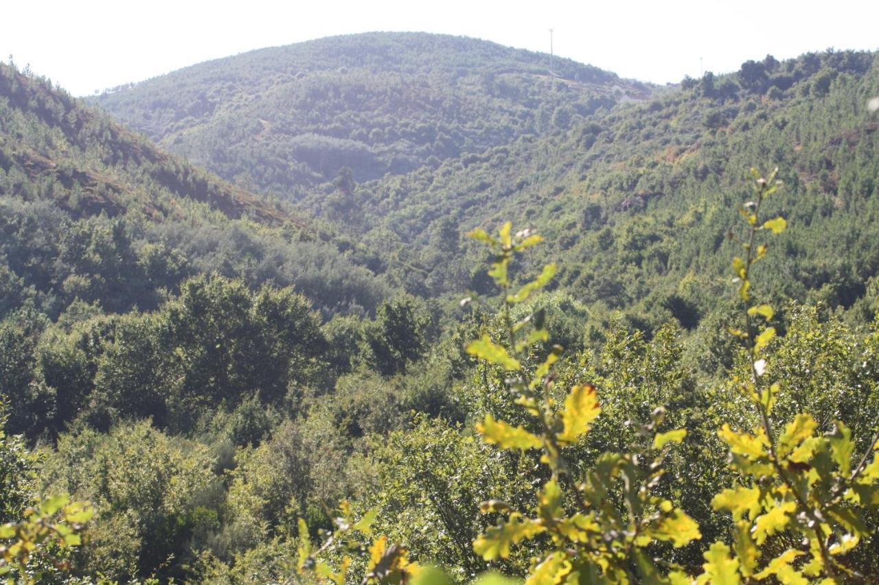 הוילה Canedo  Retiro Da Arminda מראה חיצוני תמונה