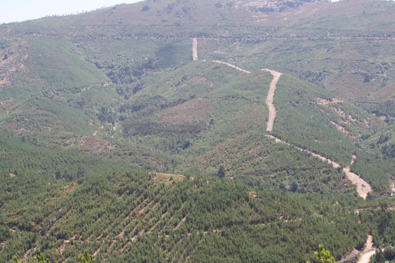 הוילה Canedo  Retiro Da Arminda מראה חיצוני תמונה
