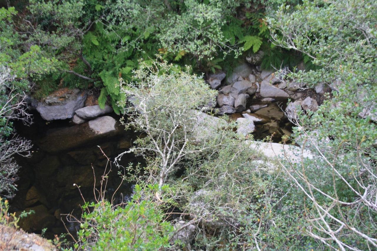 הוילה Canedo  Retiro Da Arminda מראה חיצוני תמונה