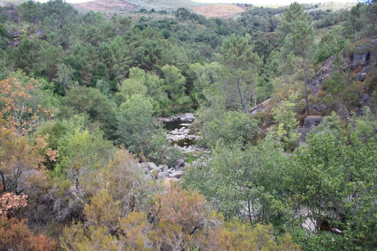 הוילה Canedo  Retiro Da Arminda מראה חיצוני תמונה