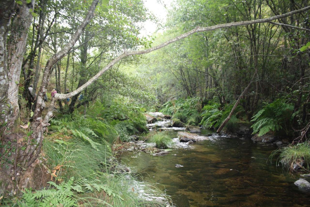 הוילה Canedo  Retiro Da Arminda מראה חיצוני תמונה