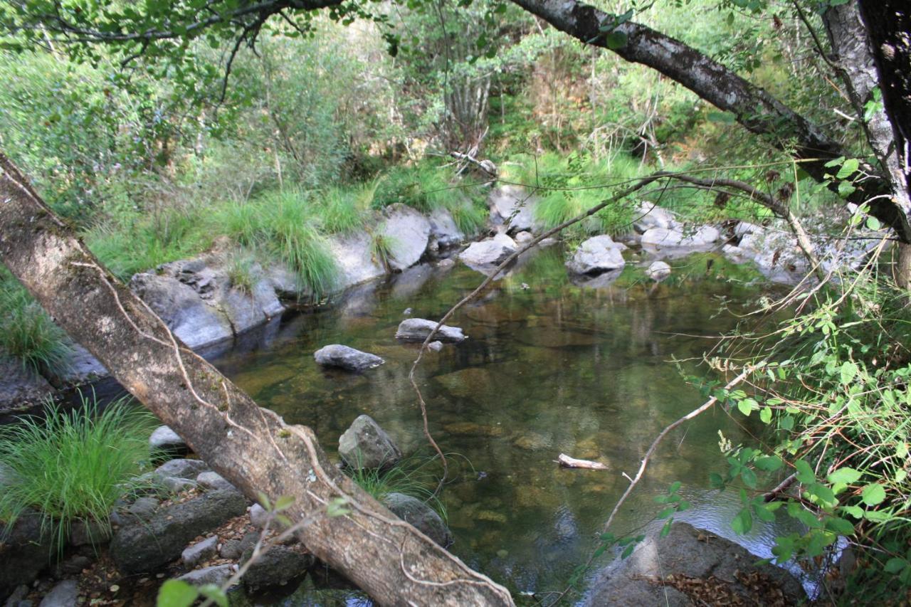 הוילה Canedo  Retiro Da Arminda מראה חיצוני תמונה