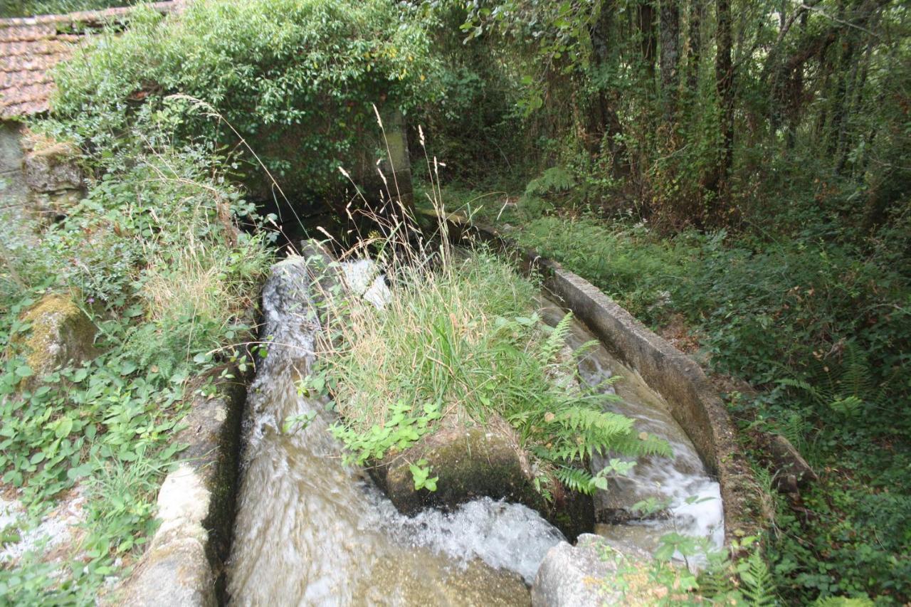 הוילה Canedo  Retiro Da Arminda מראה חיצוני תמונה